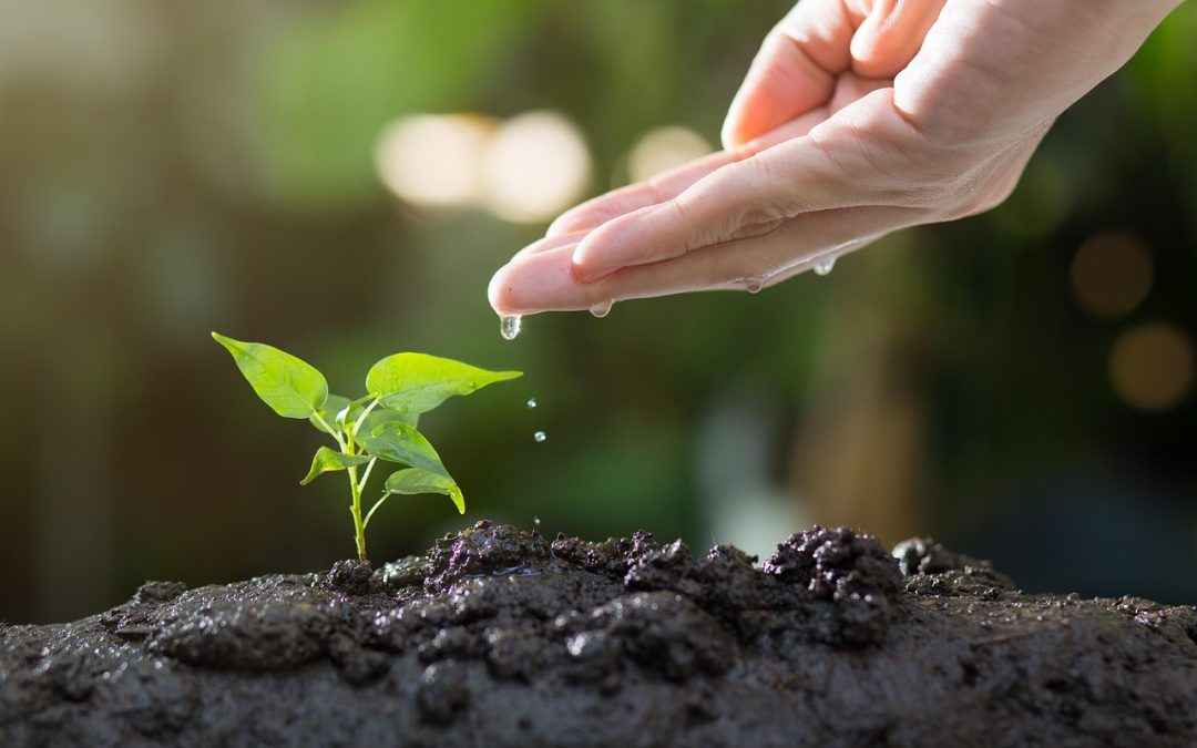 Board of Health Approves Soil Testing at WIN Waste